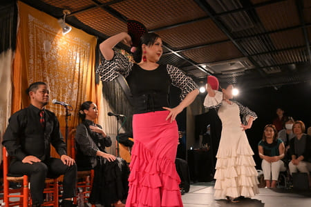 2025フラメンコ発表会